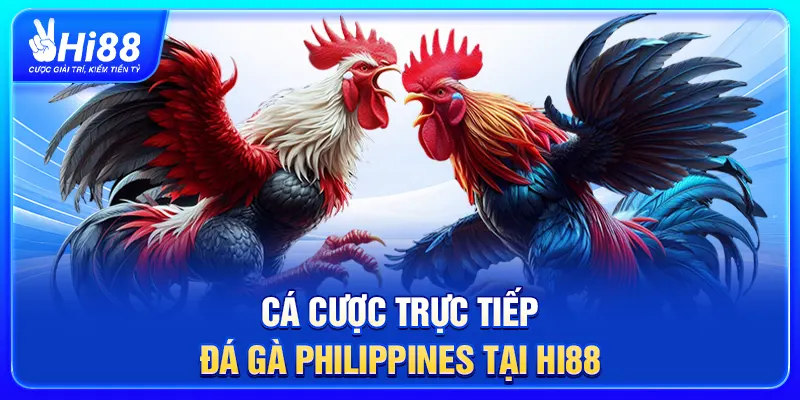Cá cược trực tiếp đá gà Philippines tại Hi88