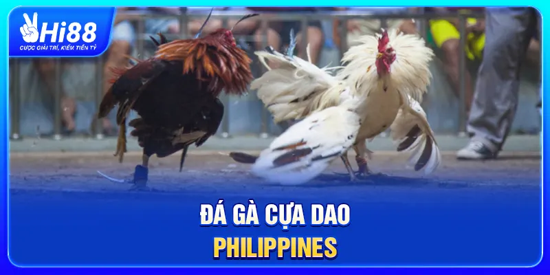 Đá gà cựa dao Philippines