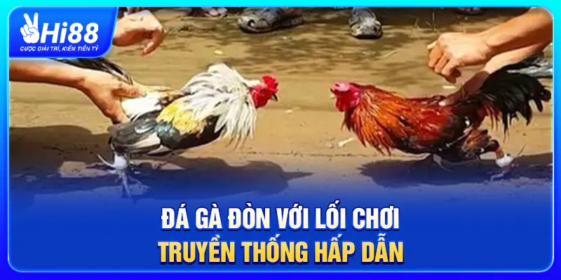 Đá gà đòn với lối chơi truyền thống hấp dẫn