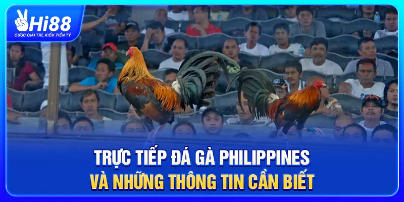 Trực Tiếp Đá Gà Philippines Và Những Thông Tin Cần Biết